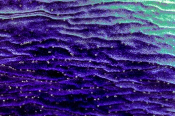 AP 37A